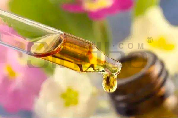 Ũ������